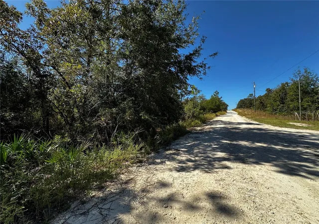 Photo 3 of Land for sale at Tbd Ne 65th Lane, Bronson, FL 32621 | MLS# OM729502 | Listing updated on 2026-10-20