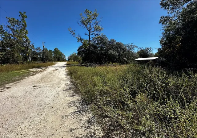Photo 4 of Land for sale at Tbd NE 65th Lane, Bronson, FL 32621 | MLS# OM729502 | Listing updated on 2026-10-20