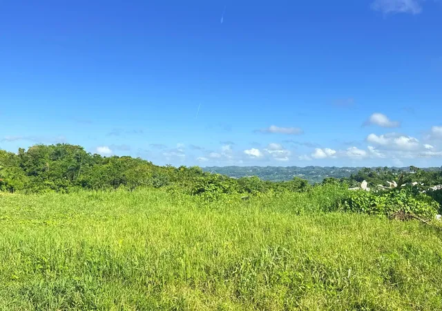 Photo 1 of Land for sale at Carr 119 Km 279 Int Bo Hoyamala, San Sebastian, PR 00685 | MLS# PR9123095 | Listing updated on 2026-08-27