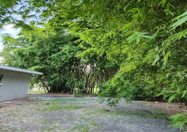 15th image of 1005 N Bracewell Dr, Plant City, FL 33563 | MLS# TB8534334