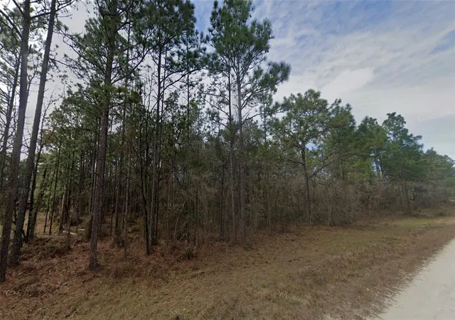 2nd image of Malden Rd, Weeki Wachee, FL 34614 | MLS# W7888116