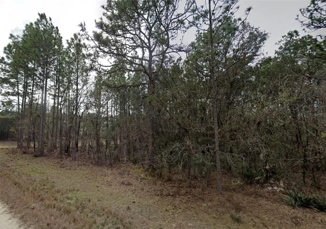 4th image of Malden Rd, Weeki Wachee, FL 34614 | MLS# W7888116