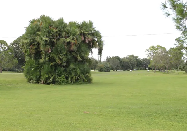 55th image of 9045 40th St N, Pinellas Park, FL 33782 | MLS# TB8534342