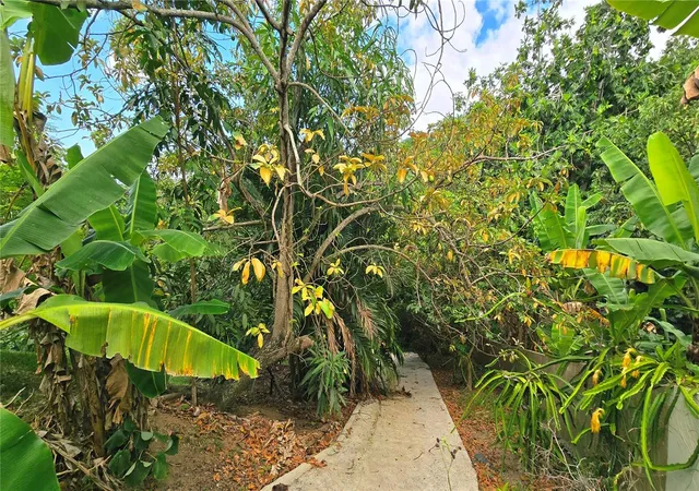 Photo 28 of Single family home for sale at 831 Sector Los Torres Bo Minillas #5.2, Bayamon, PR 00956 | MLS# PR9123099 | Listing updated on 2026-08-31