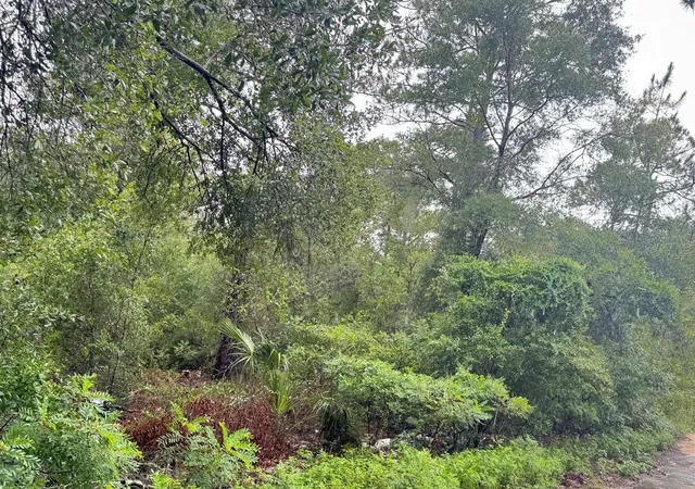 Photo 1 of Land for sale at 123xx Ne 85th Street, Bronson, FL 32621 | MLS# S5154720 | Listing updated on 2026-08-15
