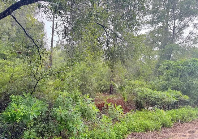 Photo 2 of Land for sale at 123xx Ne 85th Street, Bronson, FL 32621 | MLS# S5154720 | Listing updated on 2026-08-15