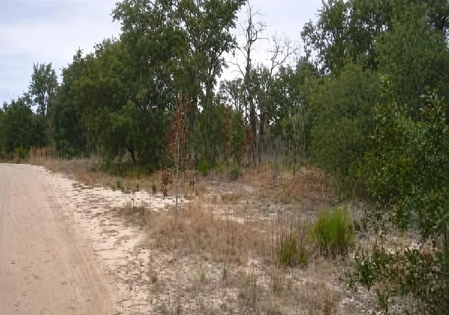 Photo 4 of Land for sale at 123xx Ne 85th Street, Bronson, FL 32621 | MLS# S5154720 | Listing updated on 2026-08-15