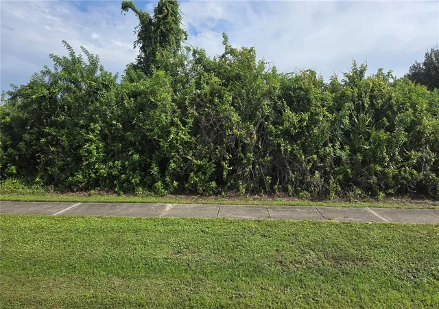 Photo 1 of Land for sale at 12436 Willmington Blvd, Port Charlotte, FL 33981 | MLS# N6145216 | Listing updated on 2026-08-11