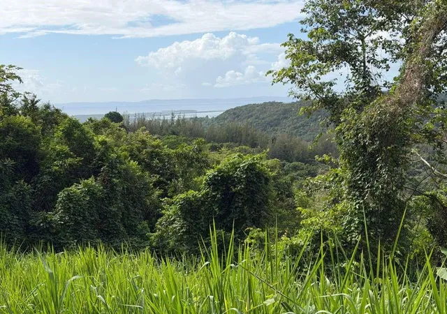 Photo 2 of Land for sale at Rd 978 Km 27 Chupacallos Wd, Ceiba, PR 00735 | MLS# PR9123103 | Listing updated on 2026-07-31