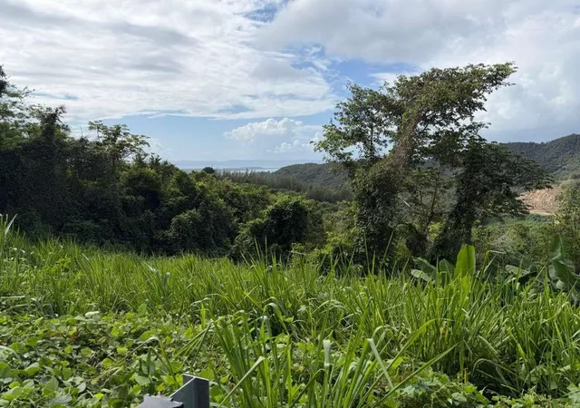 Photo 3 of Land for sale at Rd 978 Km 27 Chupacallos Wd, Ceiba, PR 00735 | MLS# PR9123103 | Listing updated on 2026-07-31