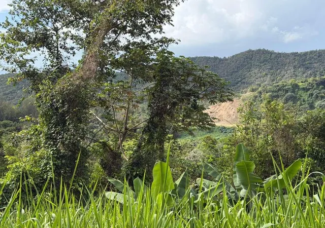 Photo 6 of Land for sale at Rd 978 Km 27 Chupacallos Wd, Ceiba, PR 00735 | MLS# PR9123103 | Listing updated on 2026-07-31