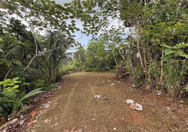 Photo 3 of Land for sale at 835 Km 54 Int Lot 8 Mamey Wd #8, Guaynabo, PR 00969 | MLS# PR9123106 | Listing updated on 2026-07-31