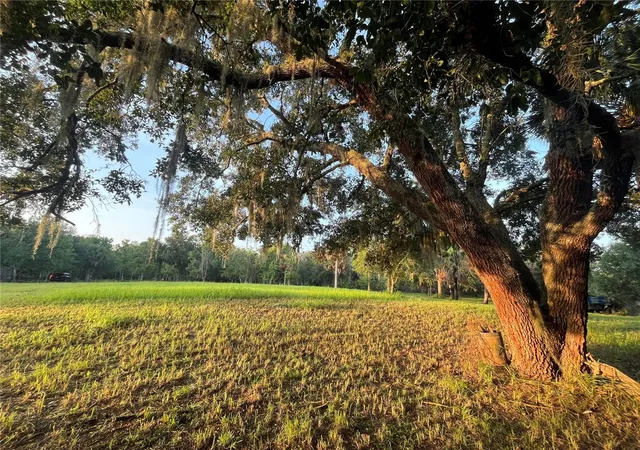Photo 4 of Land for sale at 32801 441 Highway N #287, Okeechobee, FL 34972 | MLS# O6429645 | Listing updated on 2026-08-04