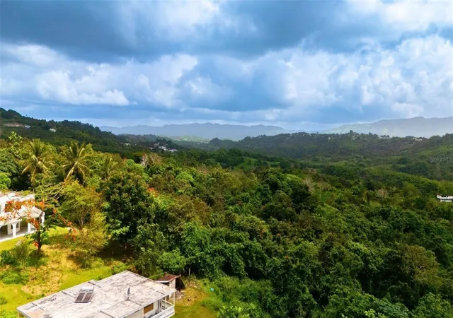 Photo 11 of Land for sale at Bo Valenciano Arriba Carr 919 Km 40, Juncos, PR 00777 | MLS# PR9123113 | Listing updated on 2026-08-25