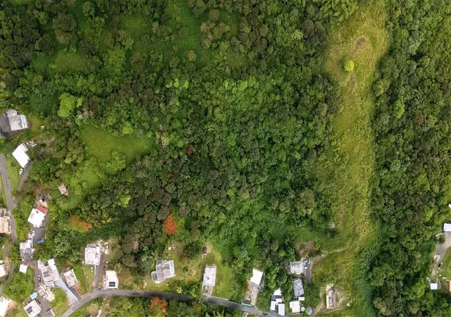 Photo 2 of Land for sale at Bo Valenciano Arriba Carr 919 Km 40, Juncos, PR 00777 | MLS# PR9123113 | Listing updated on 2026-08-25