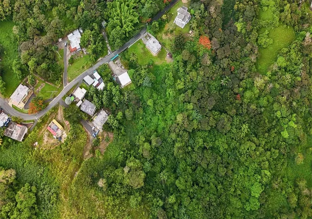 Photo 2 of Land for sale at Bo Valenciano Arriba Carr 919 Km 40, Juncos, PR 00777 | MLS# PR9123113 | Listing updated on 2026-08-25