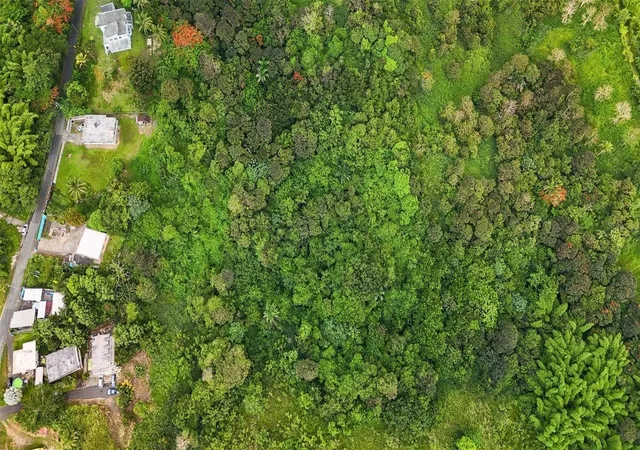 Photo 3 of Land for sale at Bo Valenciano Arriba Carr 919 Km 40, Juncos, PR 00777 | MLS# PR9123113 | Listing updated on 2026-08-25