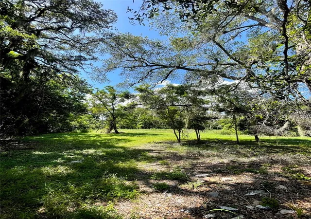 1st image of 194 E 11th St, Apopka, FL 32703 | MLS# O6429706