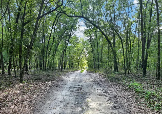 5th image of 9813 Nw State Road 45, High Springs, FL 32643 | MLS# GC542383
