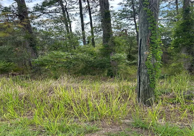 2nd image of 8131 Nightingale Rd, Weeki Wachee, FL 34613 | MLS# TB8534699