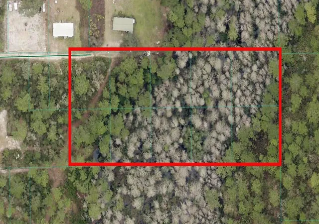 Photo 3 of Land for sale at Tbd Ne 156th Lane, Fort Mc Coy, FL 32134 | MLS# OM729571 | Listing updated on 2026-08-01