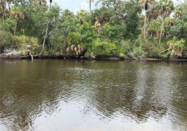 57th image of 14941 Barrows Bluff Ter, Bradenton, FL 34212 | MLS# A4701741