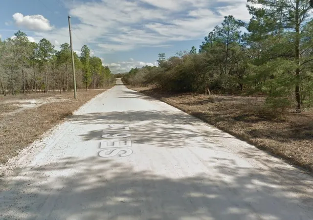 Photo 2 of Land for sale at 14710 Se 6th Lane, Williston, FL 32696 | MLS# O6429836 | Listing updated on 2026-10-05