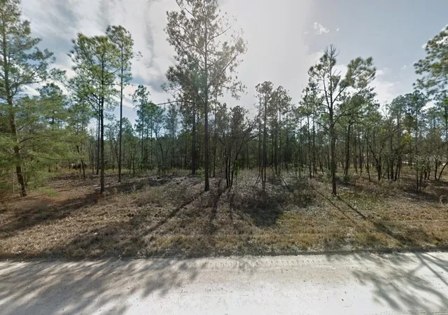 Photo 3 of Land for sale at 14710 Se 6th Lane, Williston, FL 32696 | MLS# O6429836 | Listing updated on 2026-10-05