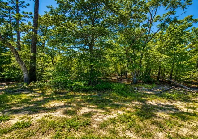 2nd image of 507 & 509 Baden Powell Rd, Hawthorne, FL 32640 | MLS# GC542397
