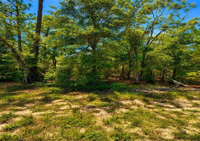 Photo 3 of Land for sale at 507 & 509 Baden Powell Rd, Hawthorne, FL 32640 | MLS# GC542397 | Listing updated on 2026-10-01