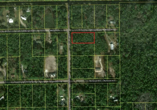 Photo 2 of Land for sale at 2515 Beech Blvd, Bunnell, FL 32110 | MLS# A4701762 | Listing updated on 2026-08-27