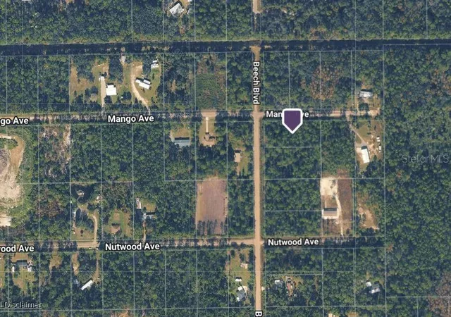 Photo 3 of Land for sale at 2515 Beech Blvd, Bunnell, FL 32110 | MLS# A4701762 | Listing updated on 2026-08-27