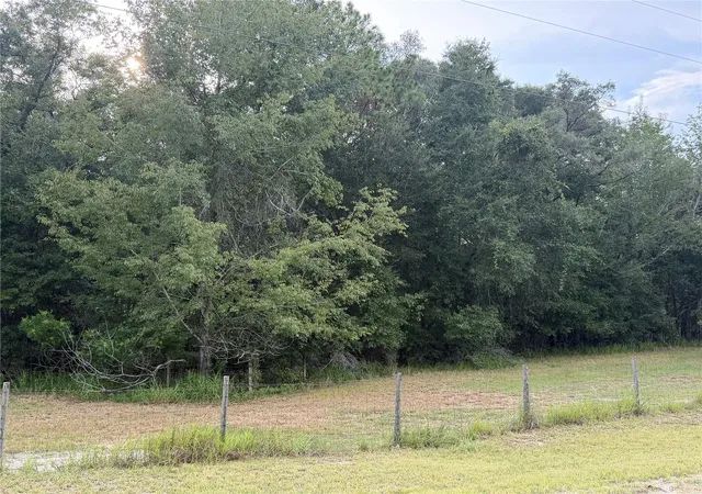 Land for sale at Northeast 32 Pl, HIGH SPRINGS, FL 32643 | MLS# GC542401
