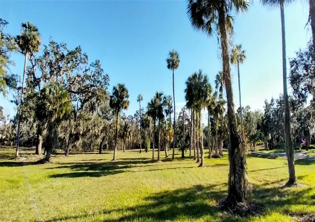 Land for sale at 11105 Winn Rd, RIVERVIEW, FL 33569 | MLS# TB8534926