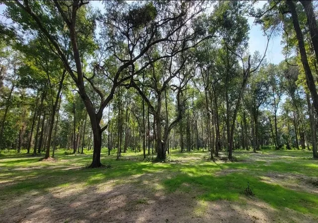 Photo 2 of Land for sale at Nw 128th Terrace #Lot 37, Reddick, FL 32686 | MLS# GC542411 | Listing updated on 2026-08-13