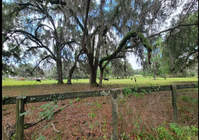 Photo 4 of Land for sale at NW 128th Terrace #Lot 37, Reddick, FL 32686 | MLS# GC542411 | Listing updated on 2026-08-13