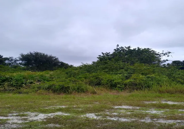 Photo 1 of Land for sale at 12952 Foresman Blvd, Port Charlotte, FL 33981 | MLS# C7529087 | Listing updated on 2026-08-07