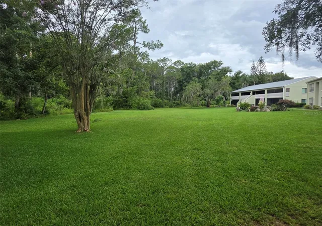 25th image of 1781 Samurai Pt #P9, Lutz, FL 33558 | MLS# W7888190