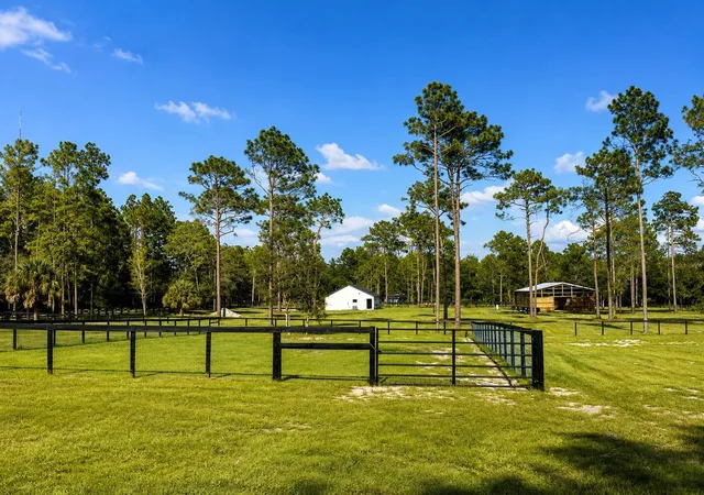 Photo 3 of Single family home for sale at 11670 SE 55th Lane, Morriston, FL 32668 | MLS# OM729624 | Listing updated on 2026-09-17