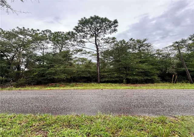 Photo 1 of Land for sale at Lot Sw 28 206 Circle, Dunnellon, FL 34431 | MLS# OM729626 | Listing updated on 2026-08-02