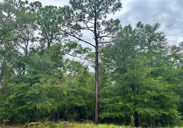 Photo 3 of Land for sale at Lot Sw 28 206 Circle, Dunnellon, FL 34431 | MLS# OM729626 | Listing updated on 2026-08-02