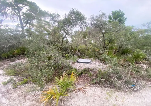 Photo 2 of Land for sale at 325 Brant Ave, Sebring, FL 33870 | MLS# L4963977 | Listing updated on 2026-08-02