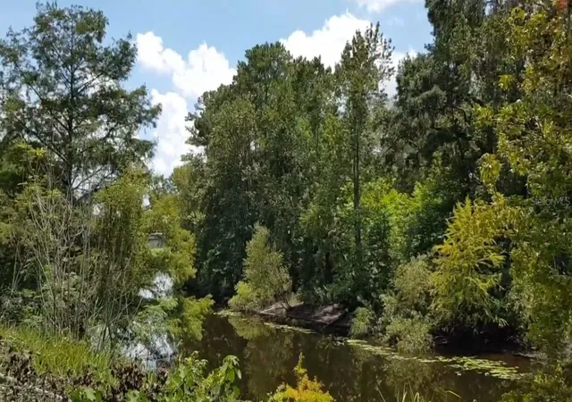 Photo 4 of Land for sale at 9438 SE Hwy 464c, Ocklawaha, FL 32179 | MLS# OM729641 | Listing updated on 2026-08-13