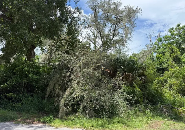 26th image of Clark Rd, Fruitland Park, FL 34731 | MLS# S5154863