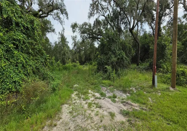 Photo 12 of Land for sale at 0 Round Table Rd, Dade City, FL 33523 | MLS# W7888207 | Listing updated on 2026-08-03