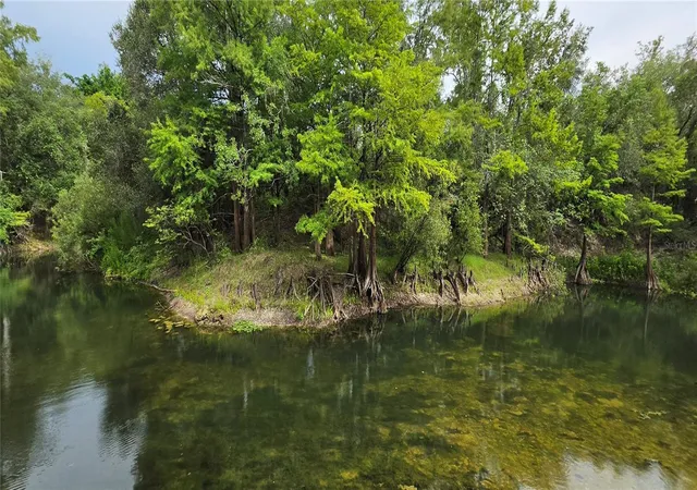 Photo 4 of Land for sale at 0 Round Table Rd, Dade City, FL 33523 | MLS# W7888207 | Listing updated on 2026-08-03