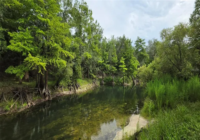 Photo 5 of Land for sale at 0 Round Table Rd, Dade City, FL 33523 | MLS# W7888207 | Listing updated on 2026-08-03