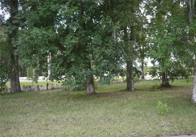 Photo 3 of Land for sale at Lot 60 Blk C Lexington Cir, Wildwood, FL 34785 | MLS# G5115938 | Listing updated on 2026-08-03