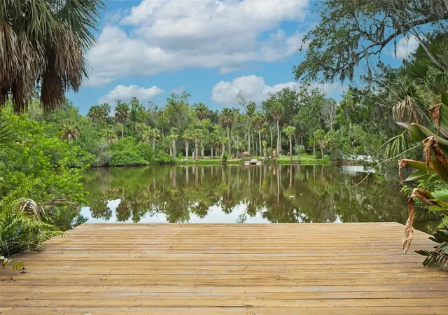 Photo 2 of Single family home for sale at 4521 Edith St, New Port Richey, FL 34652 | MLS# W7888212 | Listing updated on 2026-08-24