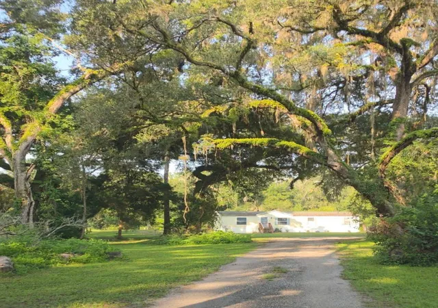 3rd image of 3415 Cr 679, Webster, FL 33597 | MLS# W7888213